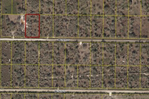 Terreno en venta en Okeechobee, Florida № 1620813 - foto 1
