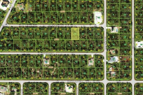 Land in Port Charlotte, Florida № 2161620