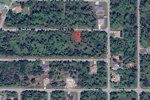 Land in Port Charlotte, Florida № 2161620 - photo 2