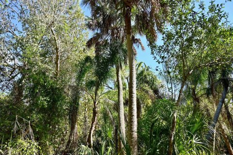 Terrain à vendre à Punta Gorda, Floride № 2093742 - photo 4