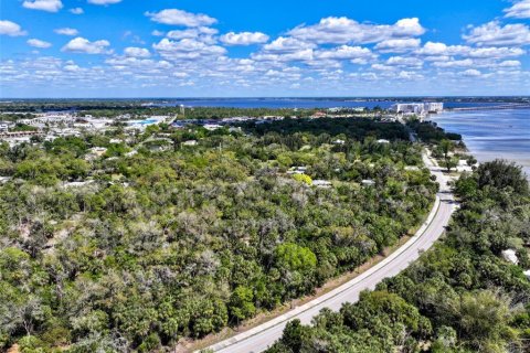 Terrain à Punta Gorda, Floride № 2093742