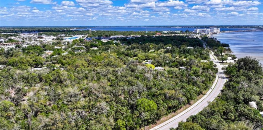 Terrain à Punta Gorda, Floride № 2093742