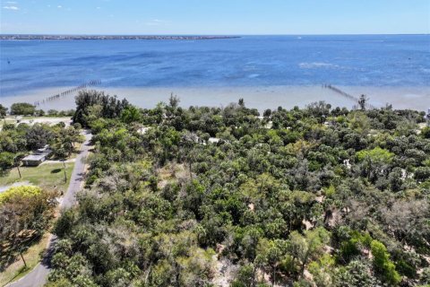 Terrain à vendre à Punta Gorda, Floride № 2093742 - photo 20
