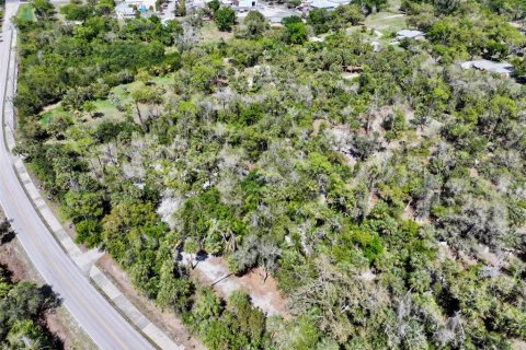 Terrain à vendre à Punta Gorda, Floride № 2093742 - photo 21