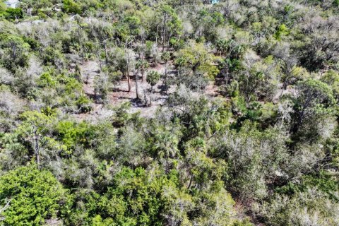 Terrain à vendre à Punta Gorda, Floride № 2093742 - photo 23