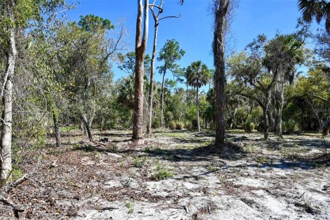 Terrain à vendre à Punta Gorda, Floride № 2093742 - photo 15