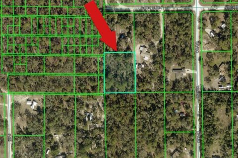 Land in Weeki Wachee, Florida № 2158927 - photo 2