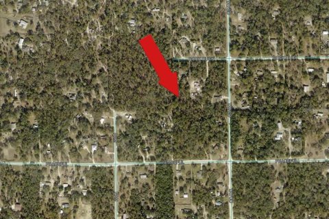 Land in Weeki Wachee, Florida № 2158927 - photo 4