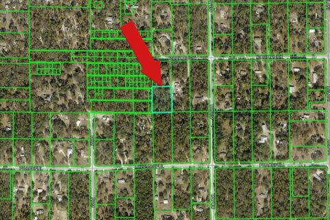 Land in Weeki Wachee, Florida № 2158927 - photo 3