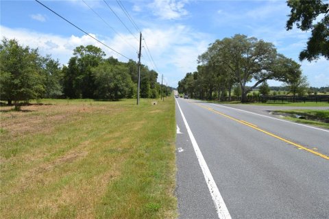Terrain à vendre à Ocala, Floride № 1880529 - photo 7