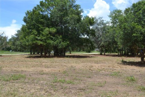 Terrain à vendre à Ocala, Floride № 1880529 - photo 6
