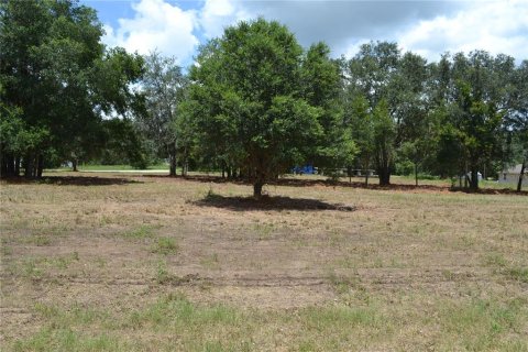 Terrain à vendre à Ocala, Floride № 1880529 - photo 3