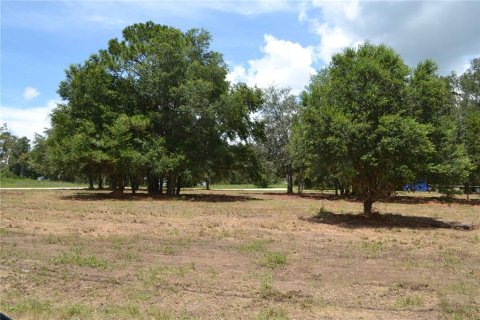 Terrain à vendre à Ocala, Floride № 1880529 - photo 5
