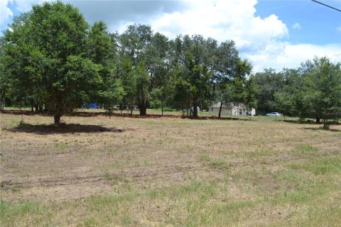 Terrain à vendre à Ocala, Floride № 1880529 - photo 2