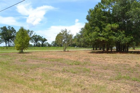 Terrain à vendre à Ocala, Floride № 1880529 - photo 1