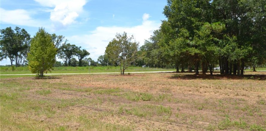 Terreno en Ocala, Florida № 1880529