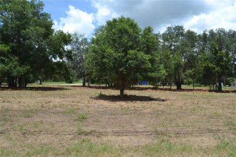 Terrain à vendre à Ocala, Floride № 1880529 - photo 9