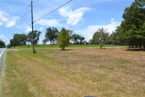 Terrain à vendre à Ocala, Floride № 1880529 - photo 8