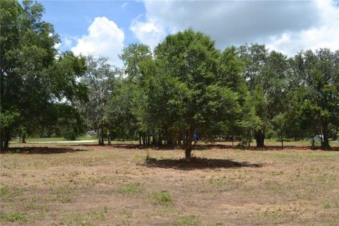 Terrain à vendre à Ocala, Floride № 1880529 - photo 4