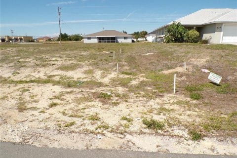 Terreno en venta en Cape Coral, Florida № 2096881 - foto 19