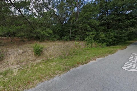 Land in Dunnellon, Florida № 2158806 - photo 2