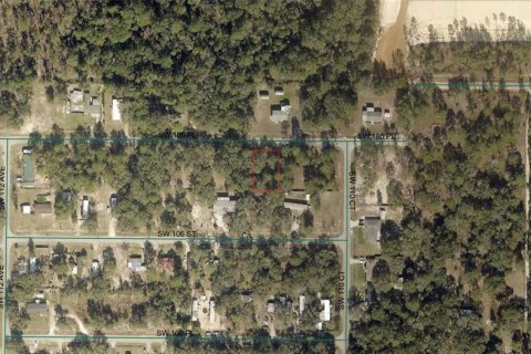 Land in Dunnellon, Florida № 2158806 - photo 3