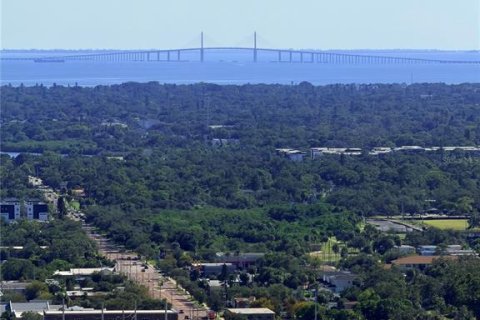 Condo in Saint Petersburg, Florida, 3 bedrooms № 2429308 - photo 11