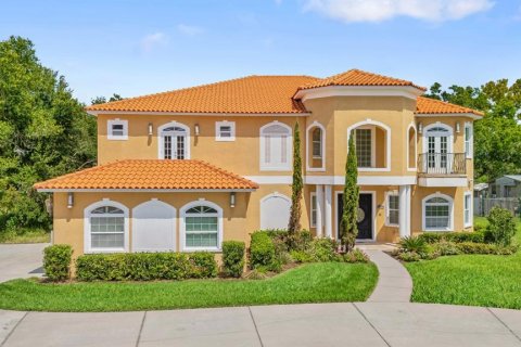 House in Riverview, Florida 5 bedrooms, 529.73 sq.m. № 2315114