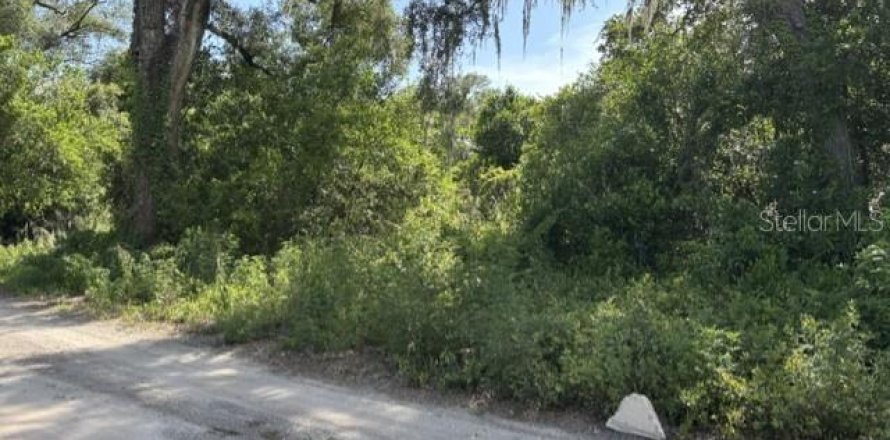 Terrain à Zephyrhills, Floride № 2224644