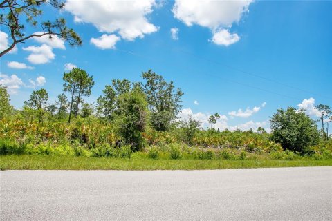 Land in Sebring, Florida № 2162381 - photo 3