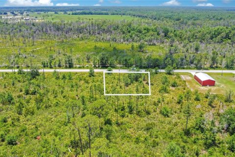 Land in Sebring, Florida № 2162381 - photo 18