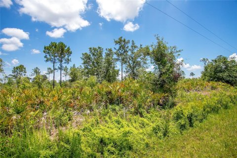 Land in Sebring, Florida № 2162381 - photo 4