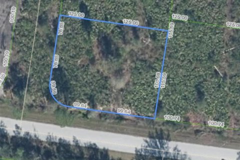 Land in Sebring, Florida № 2162381 - photo 17