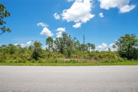 Land in Sebring, Florida № 2162381