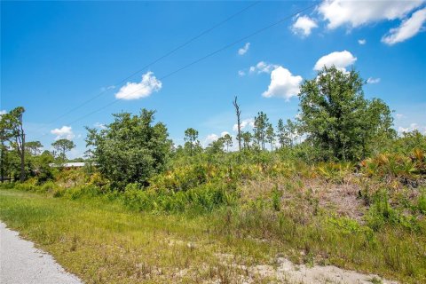 Land in Sebring, Florida № 2162381 - photo 5