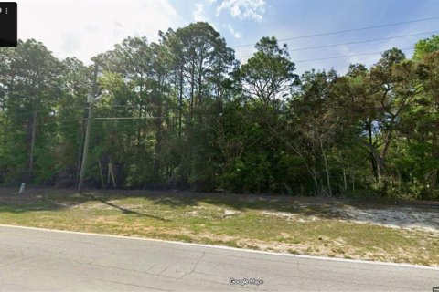 Land in Citrus Springs, Florida № 2364088