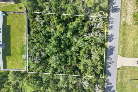 Land in Ocala, Florida № 2230104