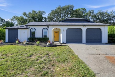 Villa ou maison à Lecanto, Floride 3 chambres, 147.25 m2 № 2437354
