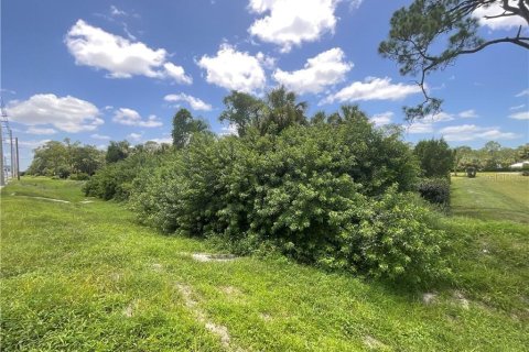 Terreno en venta en Naples, Florida № 1877048 - foto 1