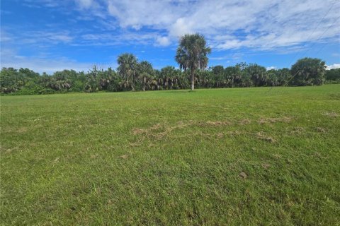 Terrain à vendre à Punta Gorda, Floride № 2160521 - photo 6
