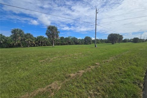 Terrain à vendre à Punta Gorda, Floride № 2160521 - photo 5