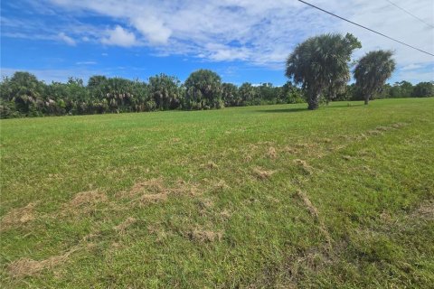 Terrain à vendre à Punta Gorda, Floride № 2160521 - photo 3