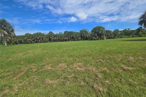 Terrain à vendre à Punta Gorda, Floride № 2160521 - photo 4
