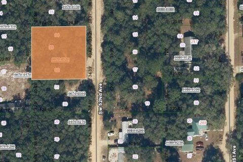 Land in Interlachen, Florida № 2238789