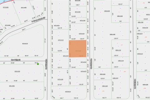 Купить земельный участок в Интерлакен, Флорида № 2238789 - фото 2