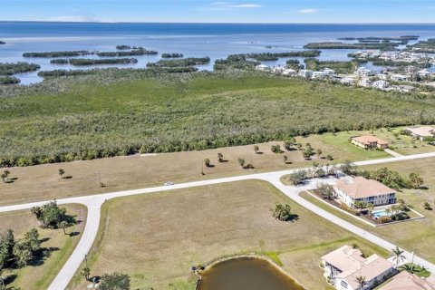 Land in Punta Gorda, Florida № 1525151 - photo 23