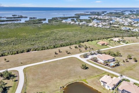 Land in Punta Gorda, Florida № 1525151 - photo 22