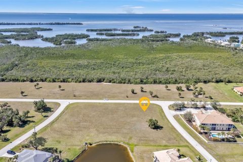 Land in Punta Gorda, Florida № 1525151 - photo 2