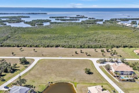 Land in Punta Gorda, Florida № 1525151 - photo 25