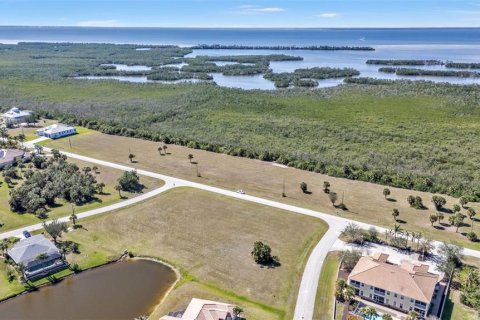 Land in Punta Gorda, Florida № 1525151 - photo 27